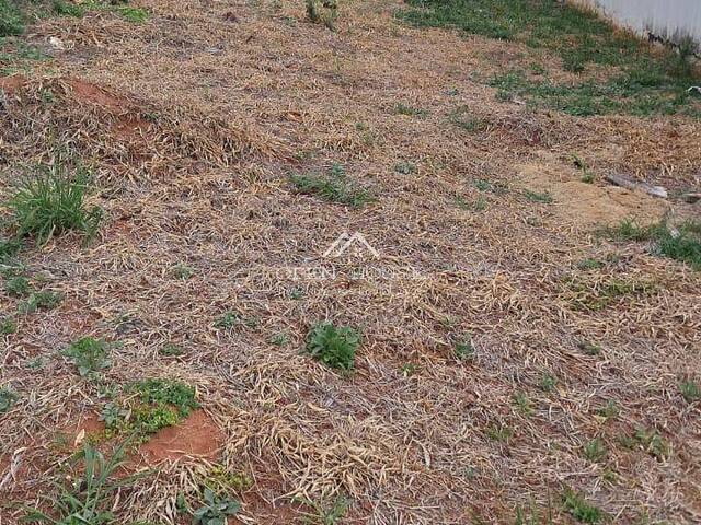 #785 - Terreno para Venda em Botucatu - SP - 3