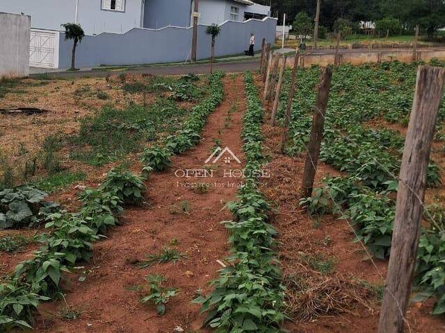#785 - Terreno para Venda em Botucatu - SP - 2