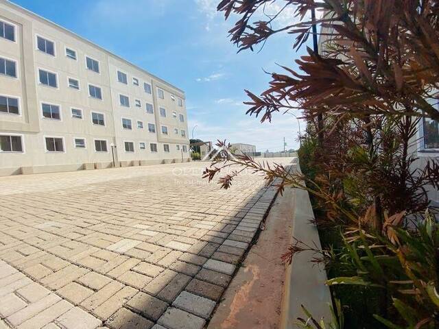 Apartamento para Venda em Botucatu - 4